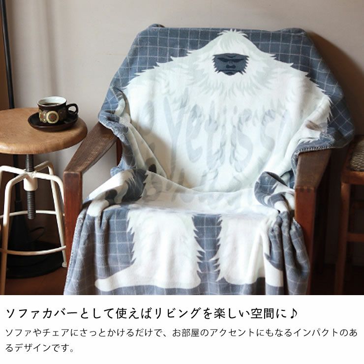 ソファカバーとして使えばリビングを楽しい空間にするフリースブランケット