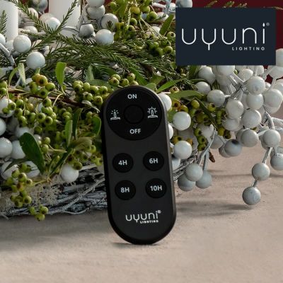 UYUNI LIGHTING（ウユニライティング）のリモートコントローラー ブラック