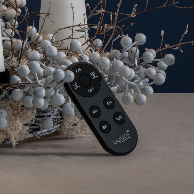 リモートコントローラー ブラックのイメージ