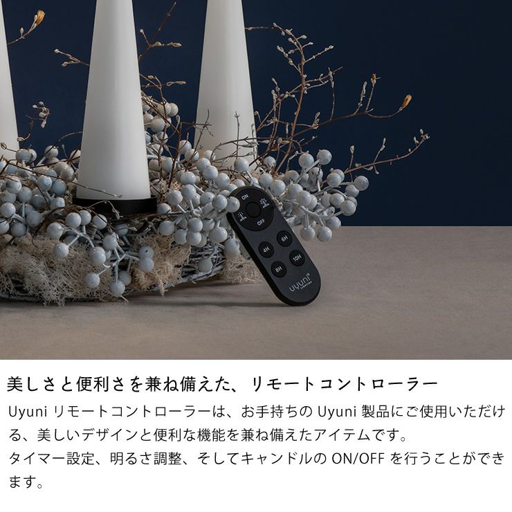 美しさと便利さを兼ね備えた、リモートコントローラー