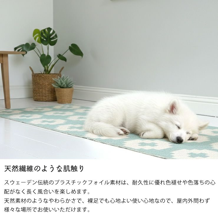 耐久性に優れて長持ちなBrita（ブリタ）インアウトドアラグ