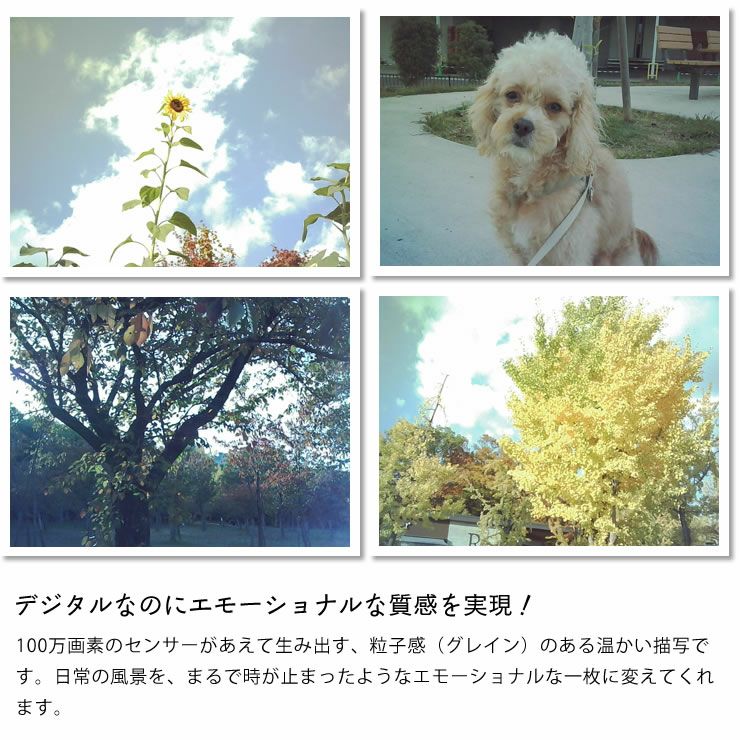 デジタルなのにエモーショナルな質感を実現するOpt!（オプト）ネオフィルム100